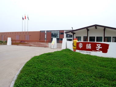 徐州林家铺子食品有限公司