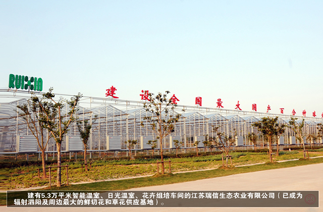 泗阳现代农业产业园