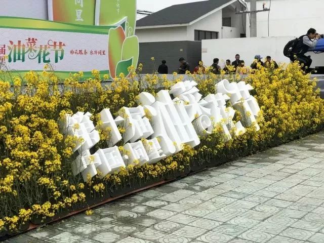第十届中国•同里油菜花节开幕
