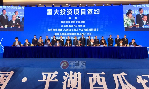 2019中国·平湖西瓜灯文化节开幕式暨投资贸易洽谈会举行