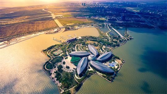 临港新片区首批重点项目集中签约开工，总投资超过110亿元