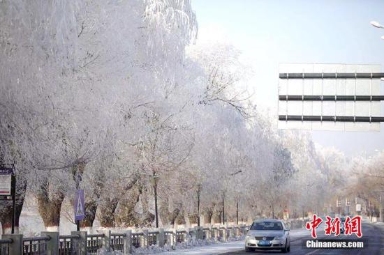 中国“雾凇之都”今冬首现雾凇 宛若童话之境