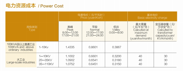 电力资源成本