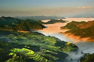 经济发展