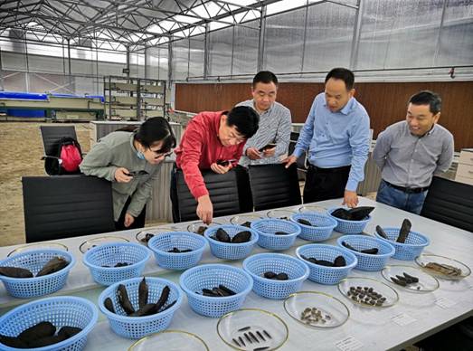农业农村部长江办领导至弋江区调研贝类繁育保护工作
