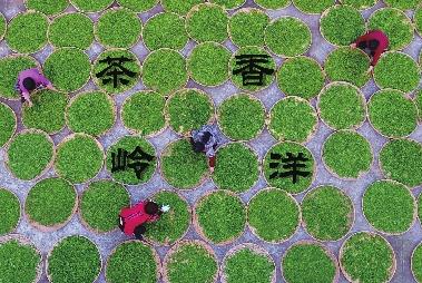 衢江区取得首张国家农产品地理标志