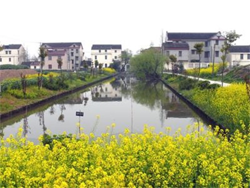 浦东新区合庆镇介绍