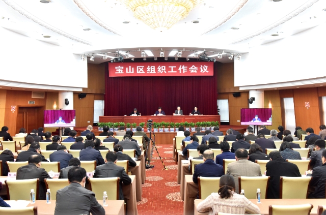 宝山区召开2020年组织工作会议