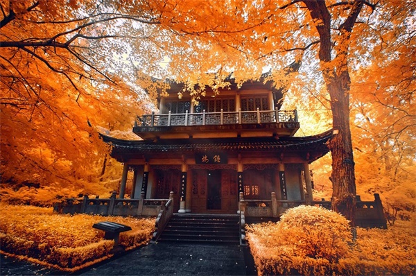 旅游