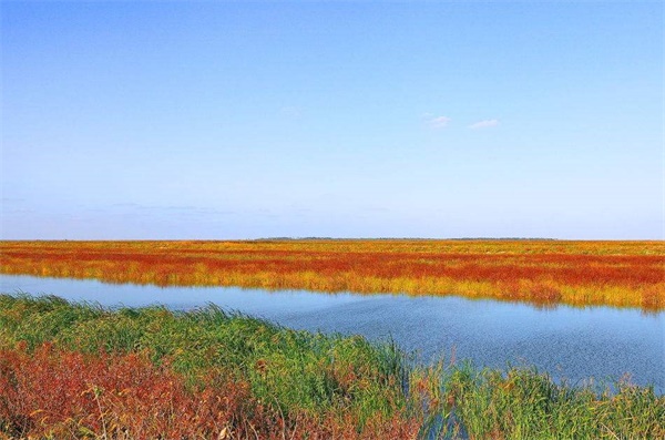 旅游