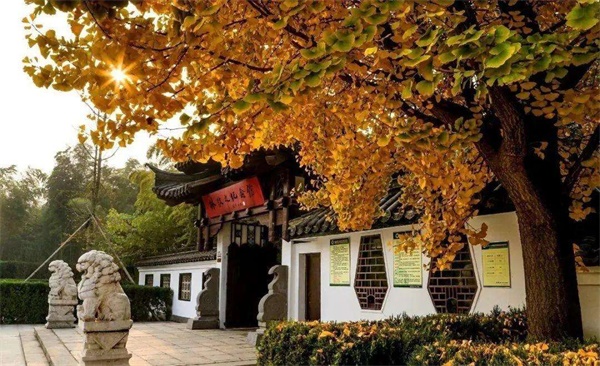 旅游