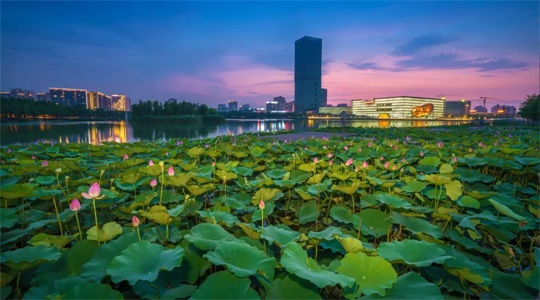 上海嘉定新城“十四五”规划建设行动方案出炉