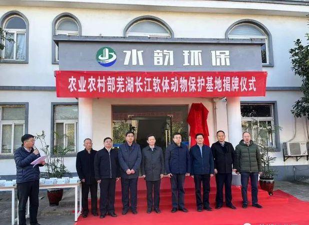 “小贝壳”助力“大环保”全国首个淡水贝类保护基地在芜湖市弋江区挂牌成立