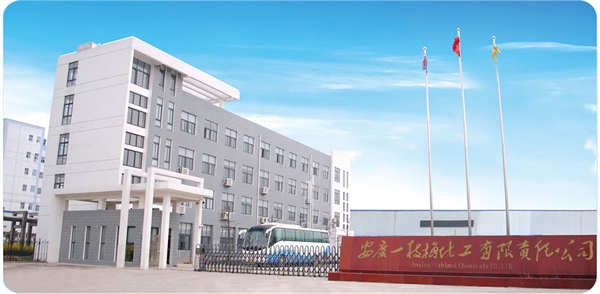 安庆一枝梅化工有限责任公司