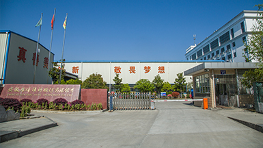 安徽瑞林精科股份有限公司