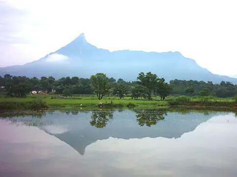 旅游