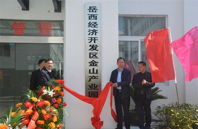 岳西经济开发区金山产业园