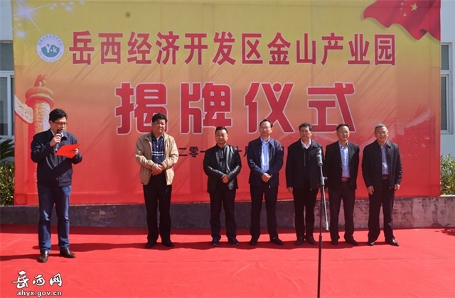 岳西经济开发区金山产业园