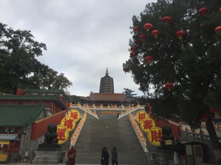 旅游