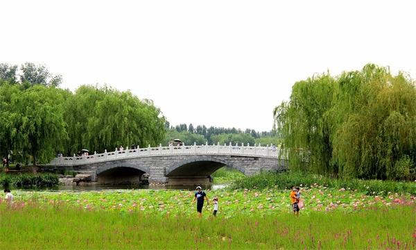 旅游