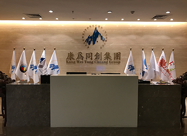 康为同创集团