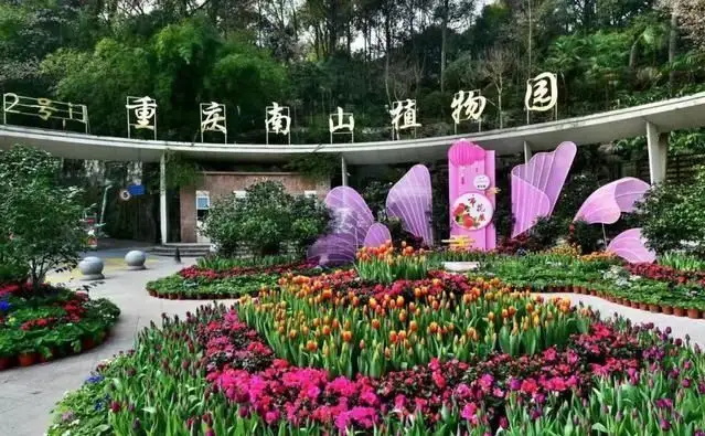 旅游