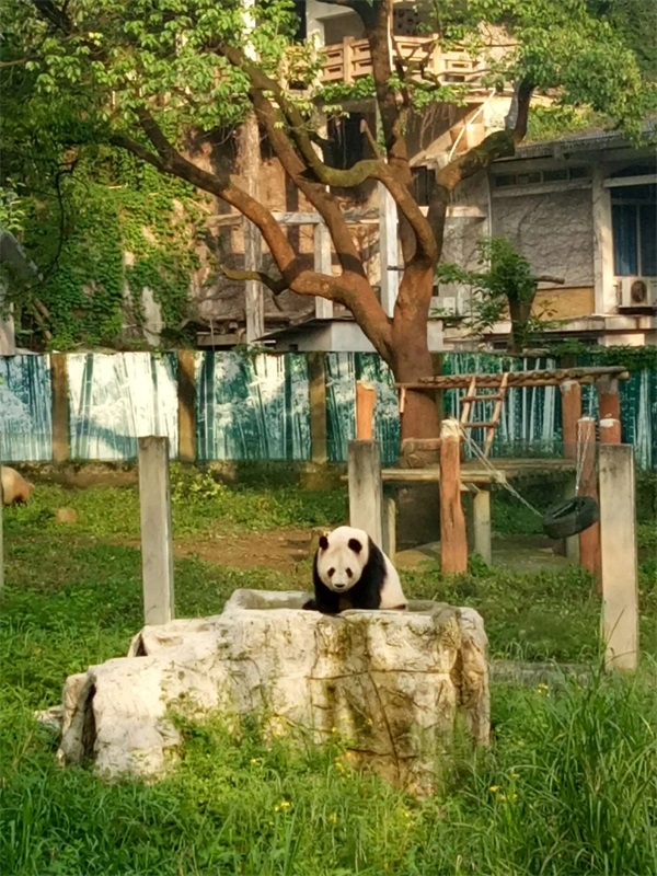 旅游