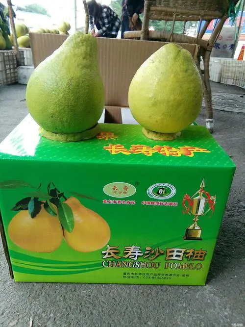 特产