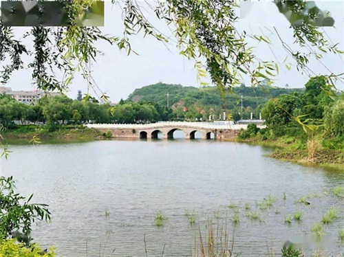 旅游