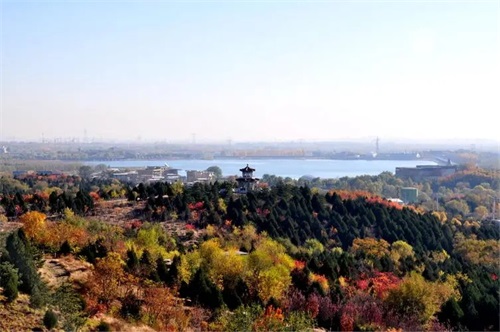 旅游