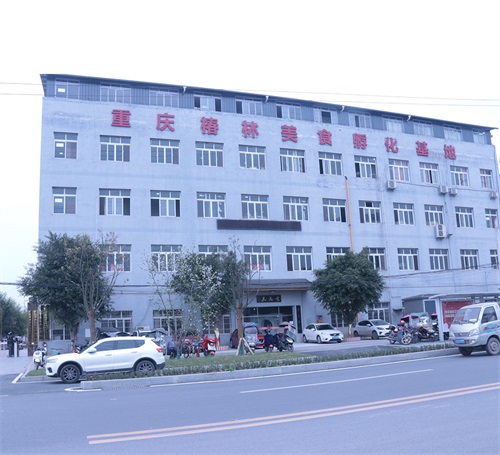 重庆椿林食品有限公司