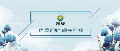 重庆东安钾肥有限公司