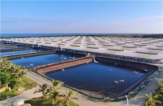 湛江开发区水产加工基地