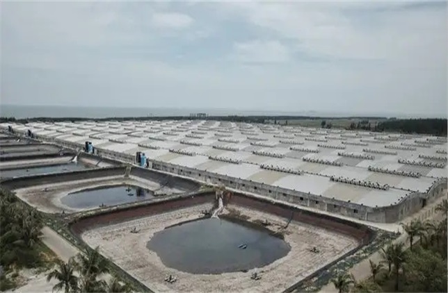 湛江开发区水产加工基地