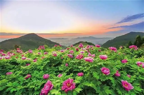 旅游