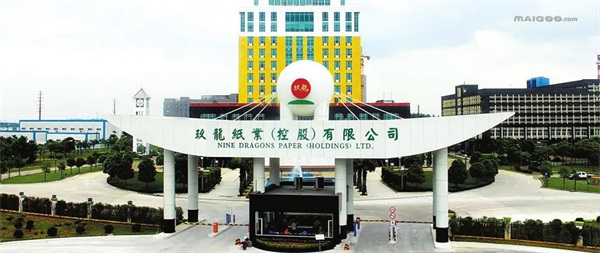 玖龙纸业（重庆）有限公司