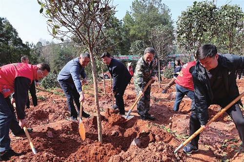 黔江区“四大家”领导参加2024年义务植树活动