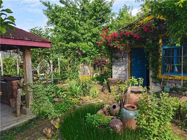 扬溪镇：合力创建“美丽庭院”绘出乡村振兴“幸福画卷”