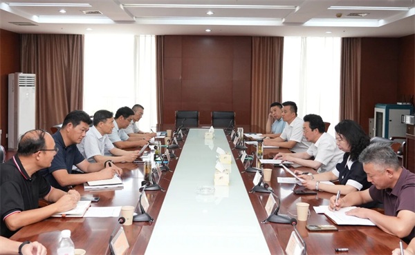 李勇专题调研重大项目建设情况