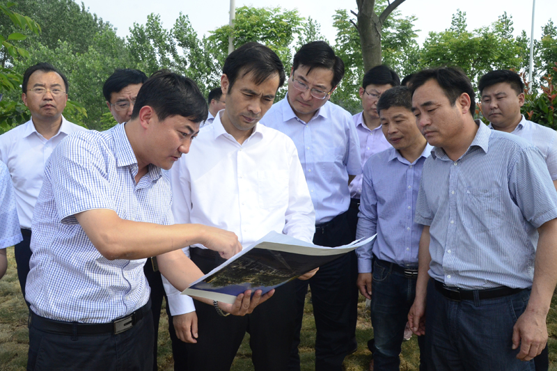 徐勤忠现场推进意杨产业科技园部分重点项目建设泗阳经济开发区