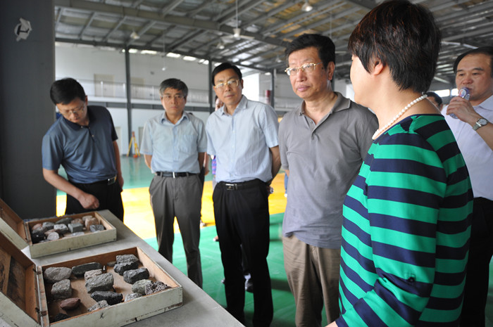 国家发展改革委社会司司长綦成元调研新站高新区