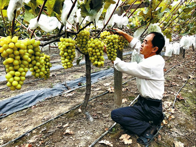 为了下一季的甜蜜