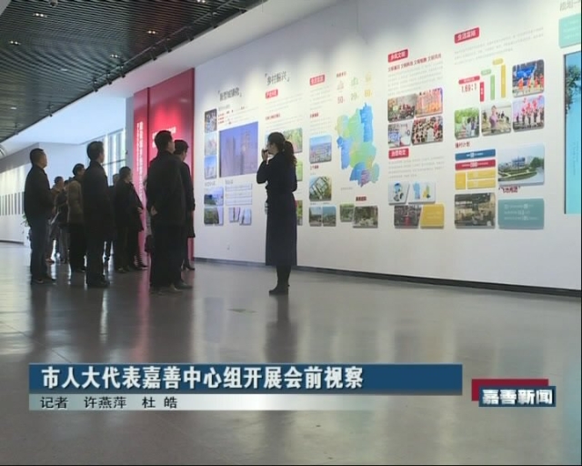 市人大代表嘉善中心组开展会前视察