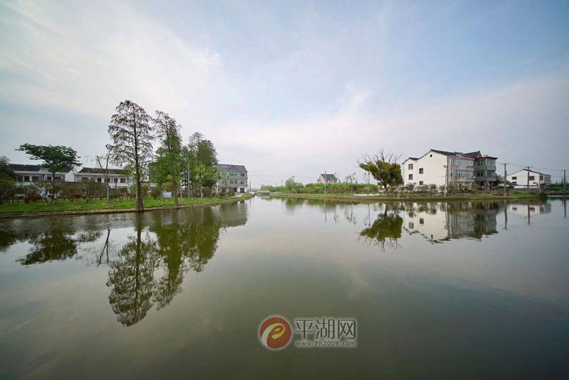 一桥一水皆风景 田园牧歌正嘹亮——平湖乡村振兴加速农业农村现代化