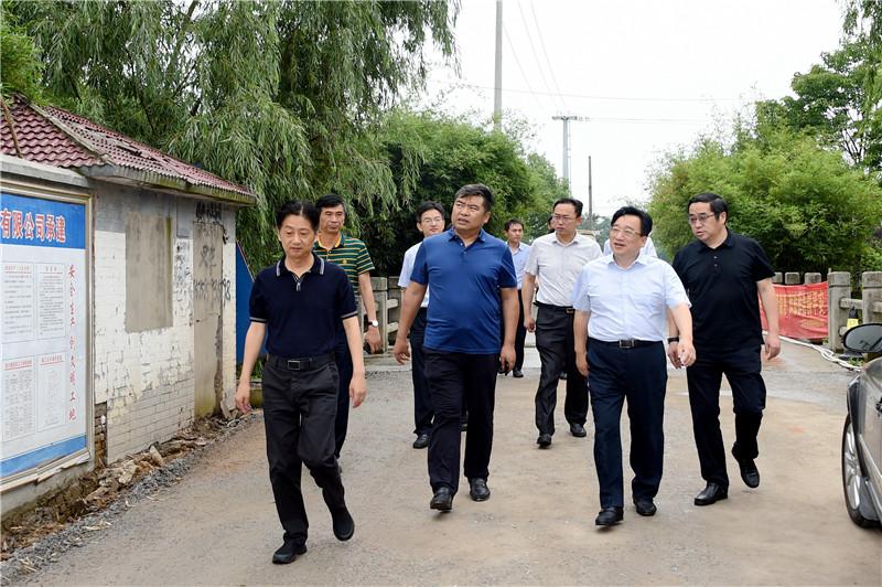 沈国芳在调研村级经济发展情况时强调 因地制宜推动村级经济做大做强