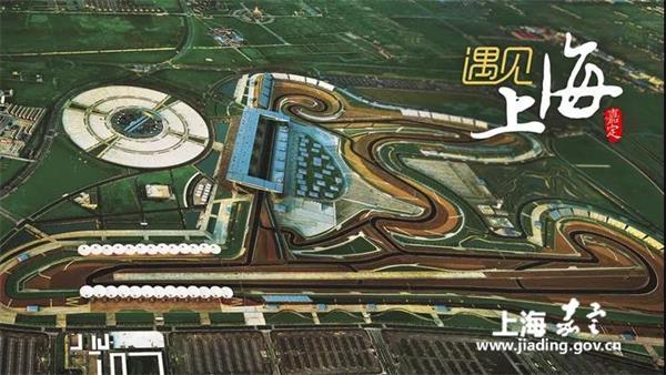去年专利申请数13710件，嘉定打造适宜万物生长的“热带雨林”
