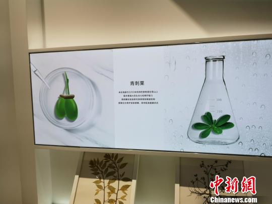 云南“神奇植物”助企业发展生物医药产业