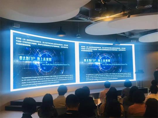 临港新片区首次与第三方专业机构合作招商推介现场