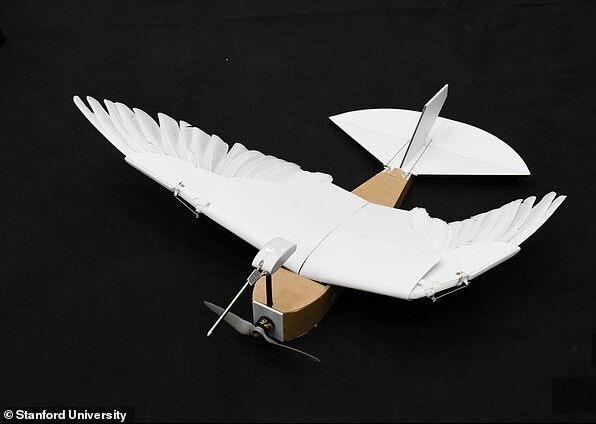 科学家制造出鸽子机器人 插满40根羽毛俯冲急转毫不费力