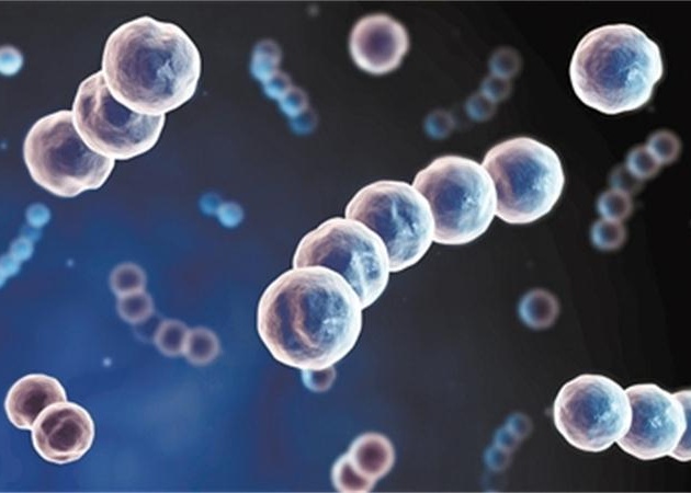 阳光视紫红质蛋白 生理功能首次获解析